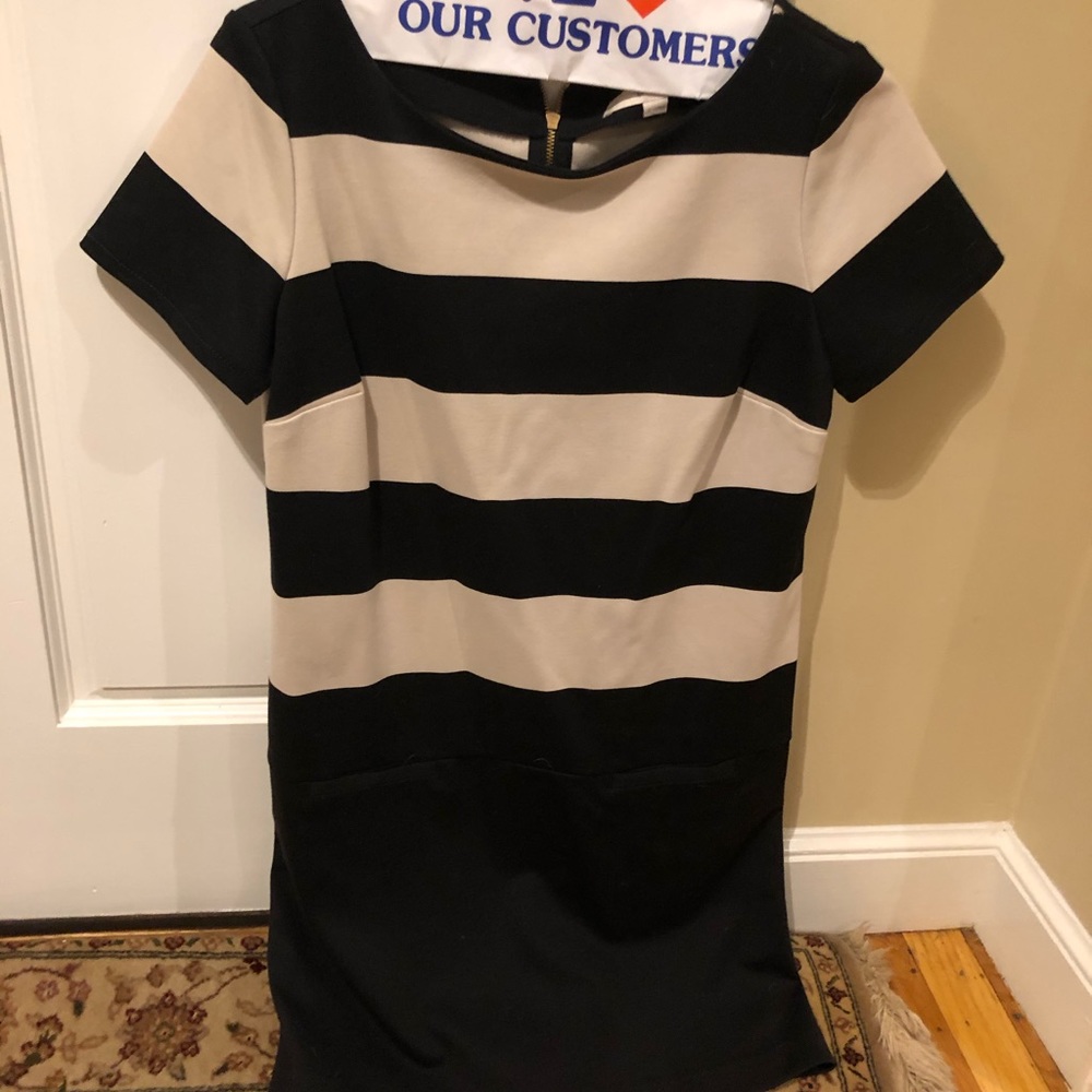 Ann Taylor Loft Sheath Dress